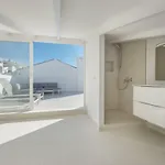 Penthouse In Puerto Banus